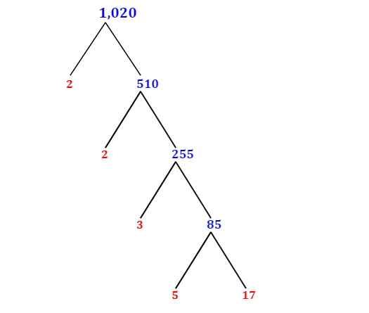 prime-factorization-of-1-020-with-a-factor-tree-mathondemand